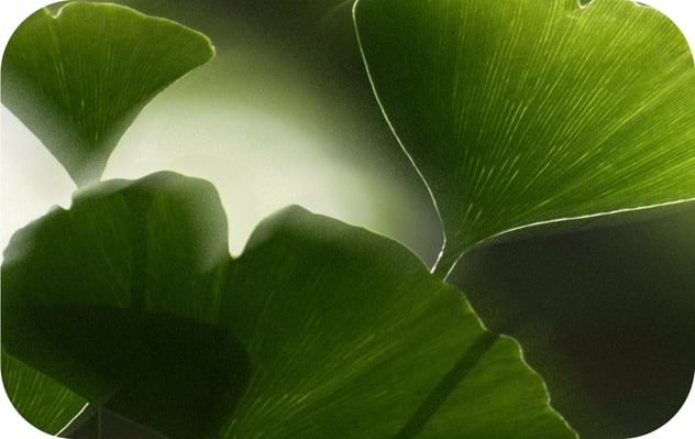 alternating-block.item-2.image.alt