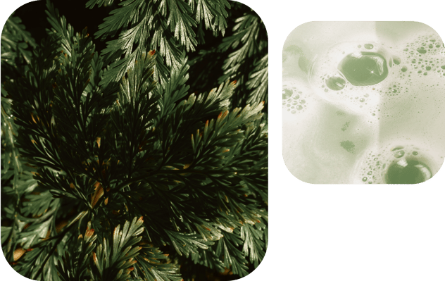 skincare-products-cedar-smell