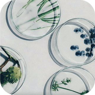 gluten-free-skincare-products