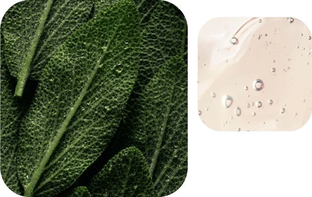 smoky-green-vetiver-smell