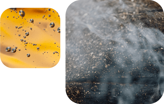 citrus-smell-hair-care