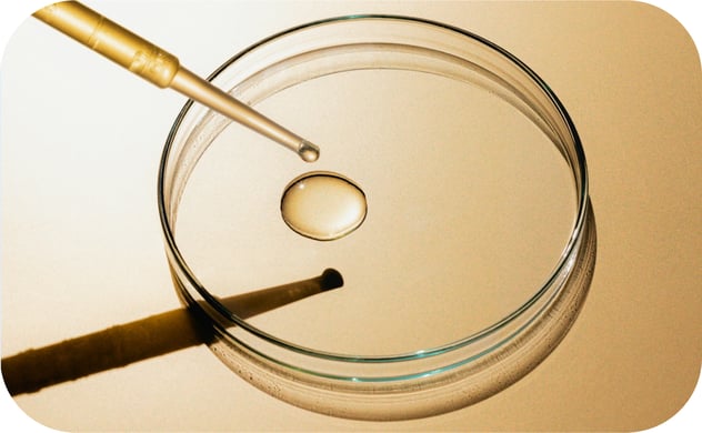 alternating-block.build-with.item-3.image.alt