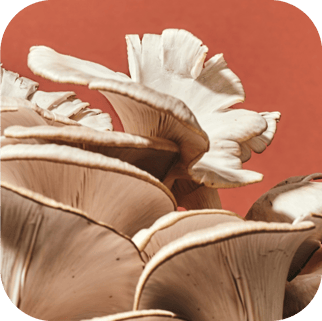 vegan-skincare-products