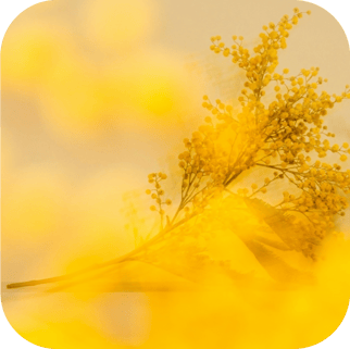 privatel-label-skincare-product-claim-nut-free