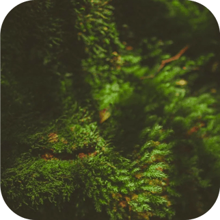 natural-organic-skincare-products