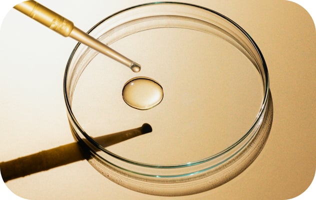 alternating-block-2.item-1.image.alt