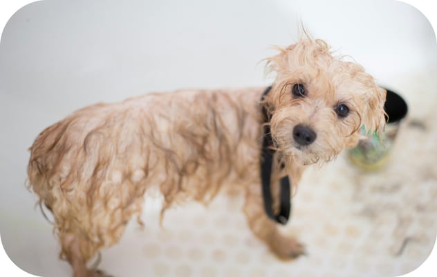 alternating-block-2.item-1.image.alt