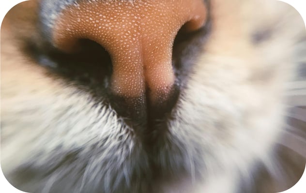 alternating-block-2.item-2.image.alt