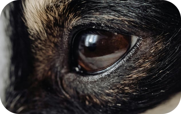 alternating-block-2.item-3.image.alt