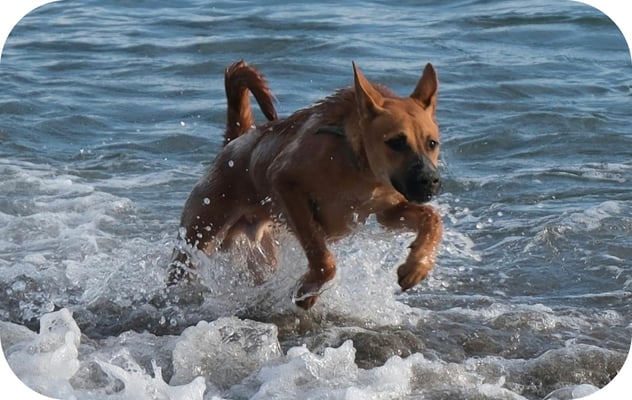 alternating-block.item-5.image.alt