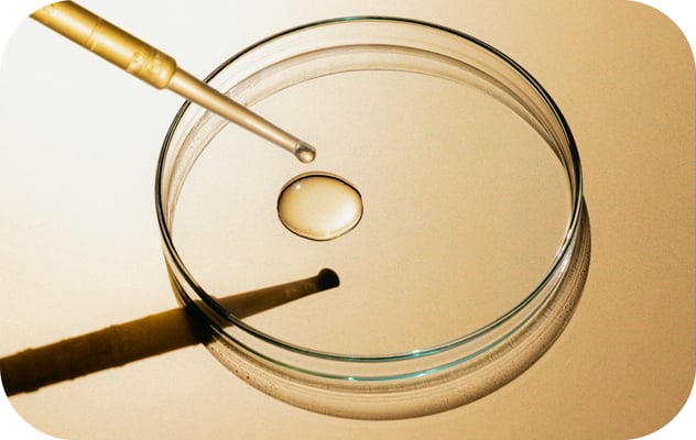 alternating-block-2.item-2.image.alt