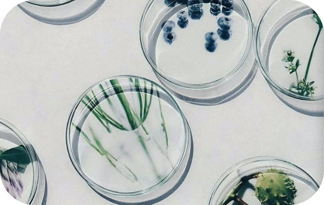 alternating-block.item-2.image.alt