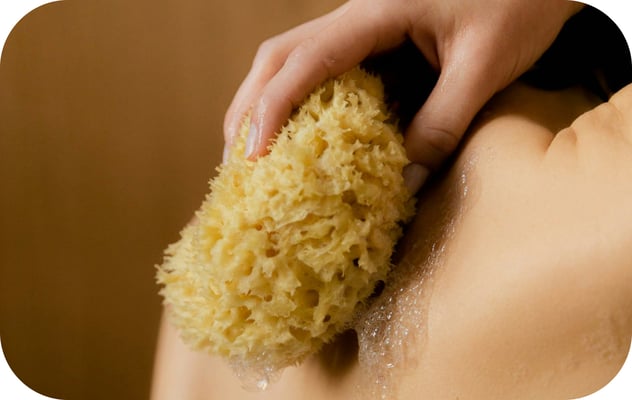 alternating-block-2.item-5.image.alt