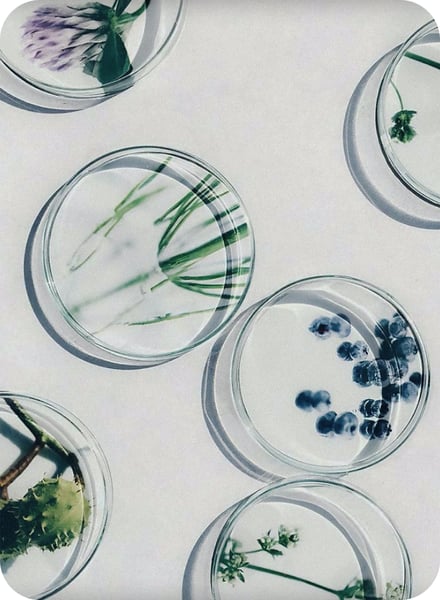 all-included-section.option-1.image.alt