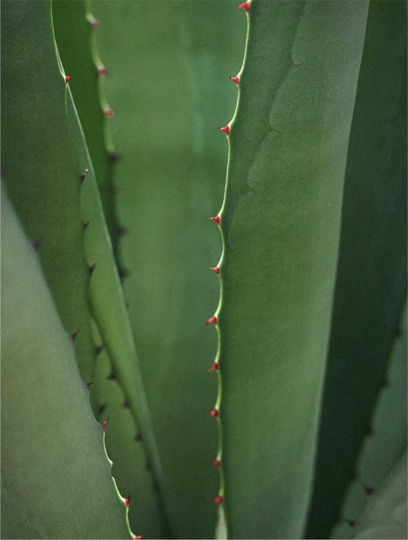 story image