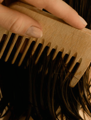 Collection professionnelle pour salons de coiffure